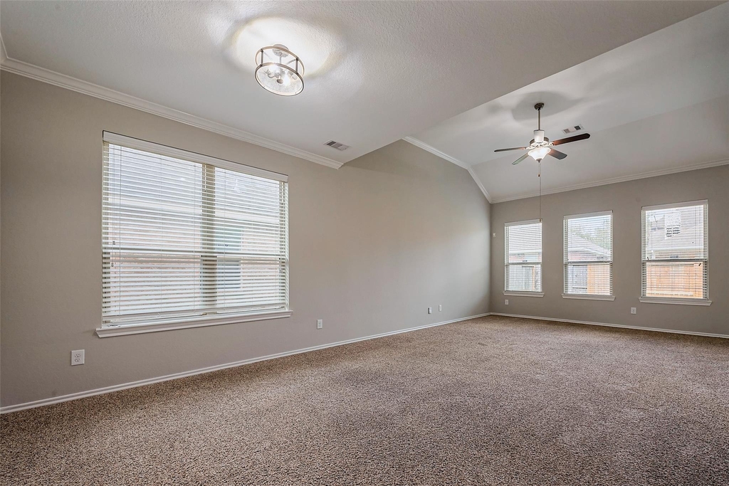1910 Vermillion View Street - Photo 9