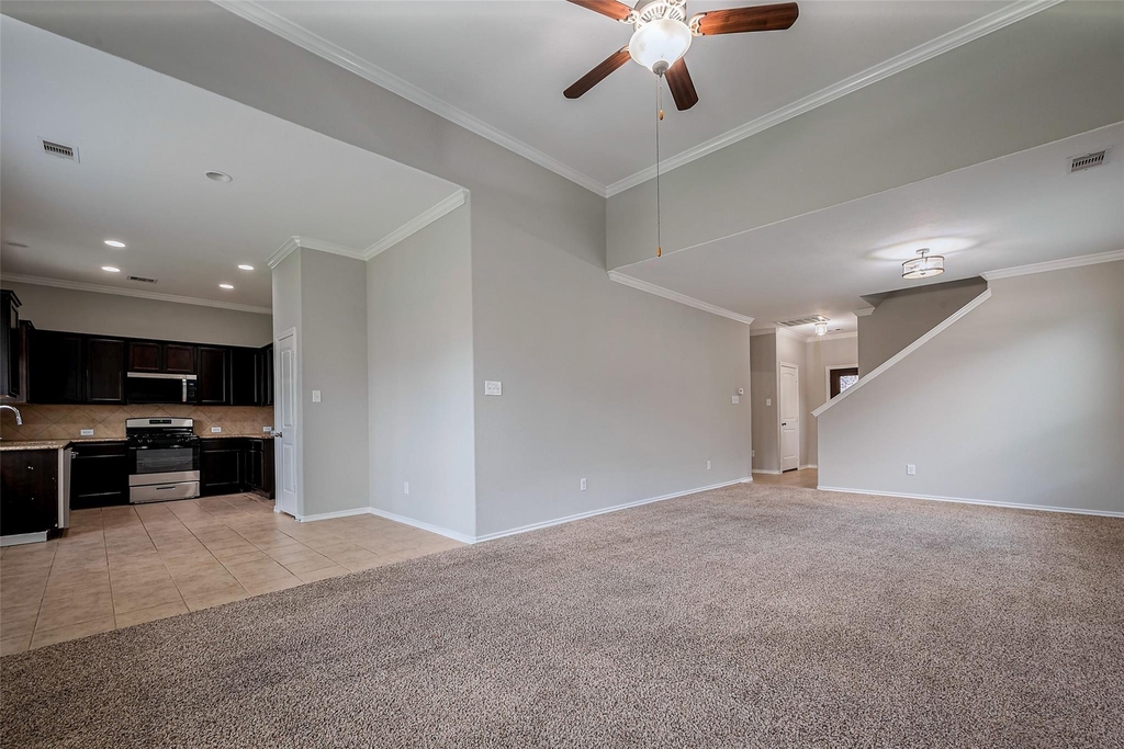 1910 Vermillion View Street - Photo 8