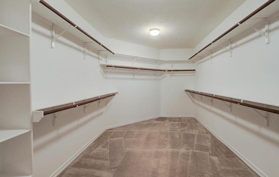 1625 Knox Street - Photo 12