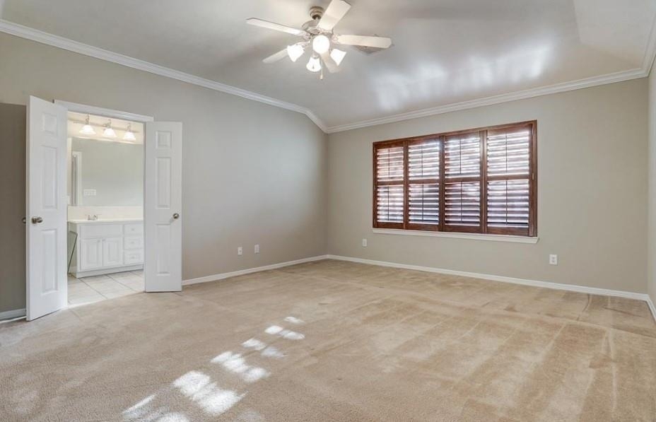 1625 Knox Street - Photo 11