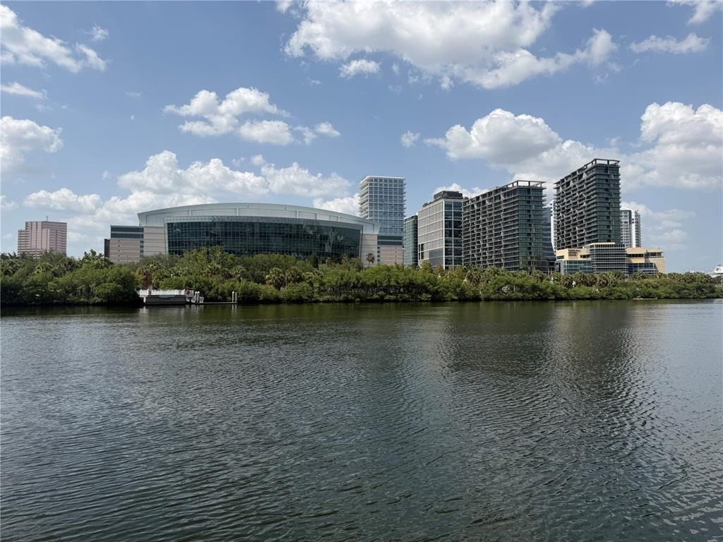 700 S Harbour Island Boulevard - Photo 41