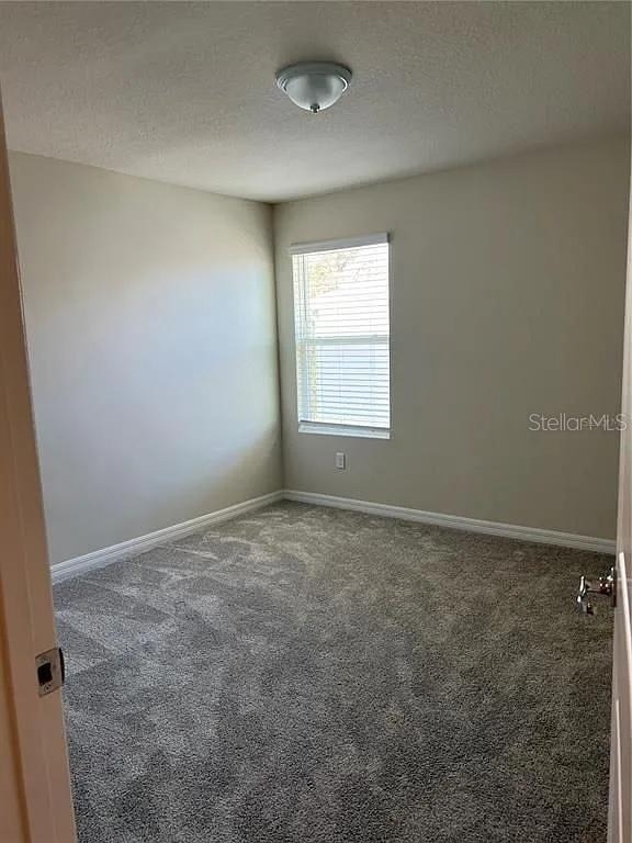 4569 Sparkling Shell Avenue - Photo 14