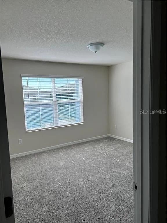 4569 Sparkling Shell Avenue - Photo 13