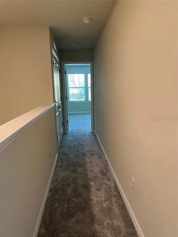 4569 Sparkling Shell Avenue - Photo 15