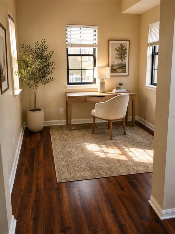 730 Siena Palm Drive - Photo 10