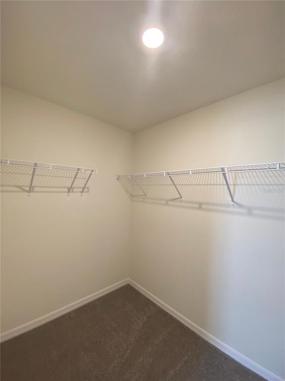 2113 Nw 247 Drive - Photo 23