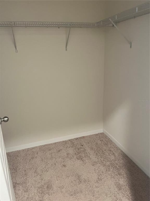 5485 Palomino Place - Photo 7