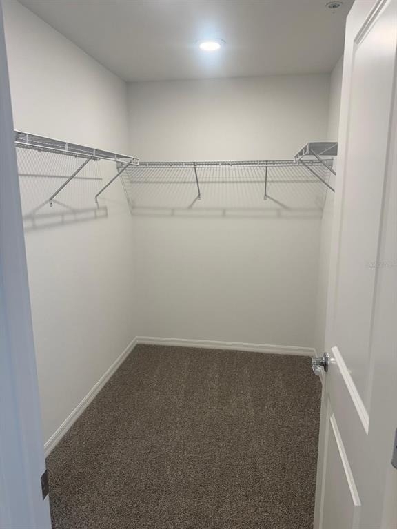 4549 Orchard View Alley - Photo 12