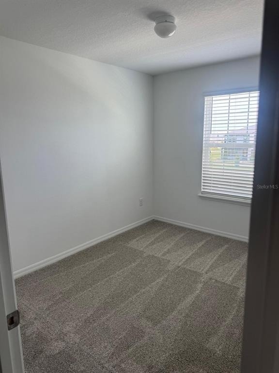 4549 Orchard View Alley - Photo 17