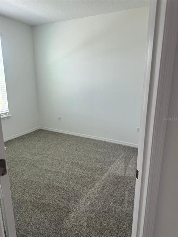 4549 Orchard View Alley - Photo 7