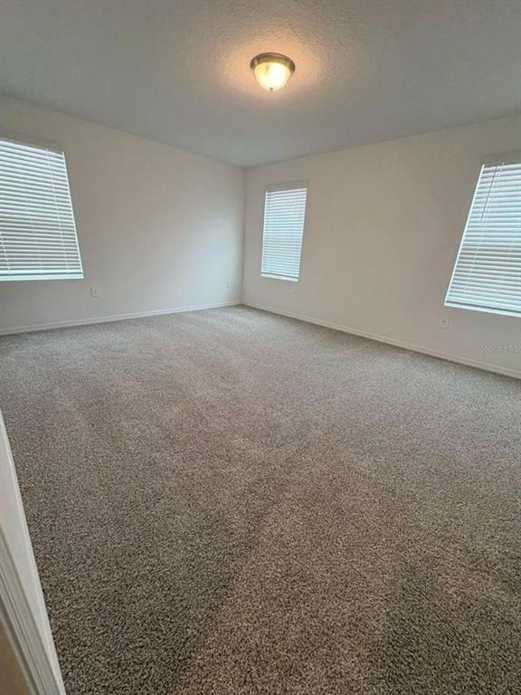 16407 Bird Of Paradise Avenue - Photo 15