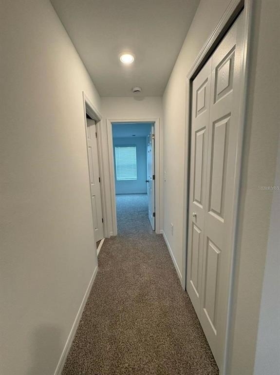 16407 Bird Of Paradise Avenue - Photo 13