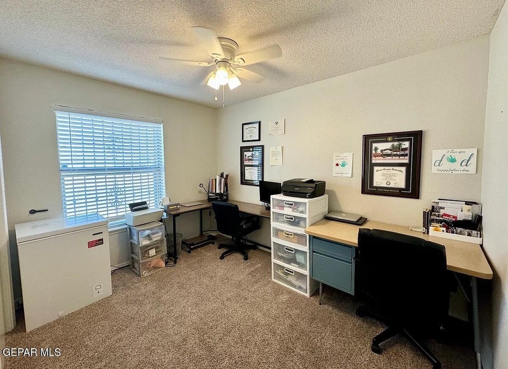 10041 Paloma Drive - Photo 13