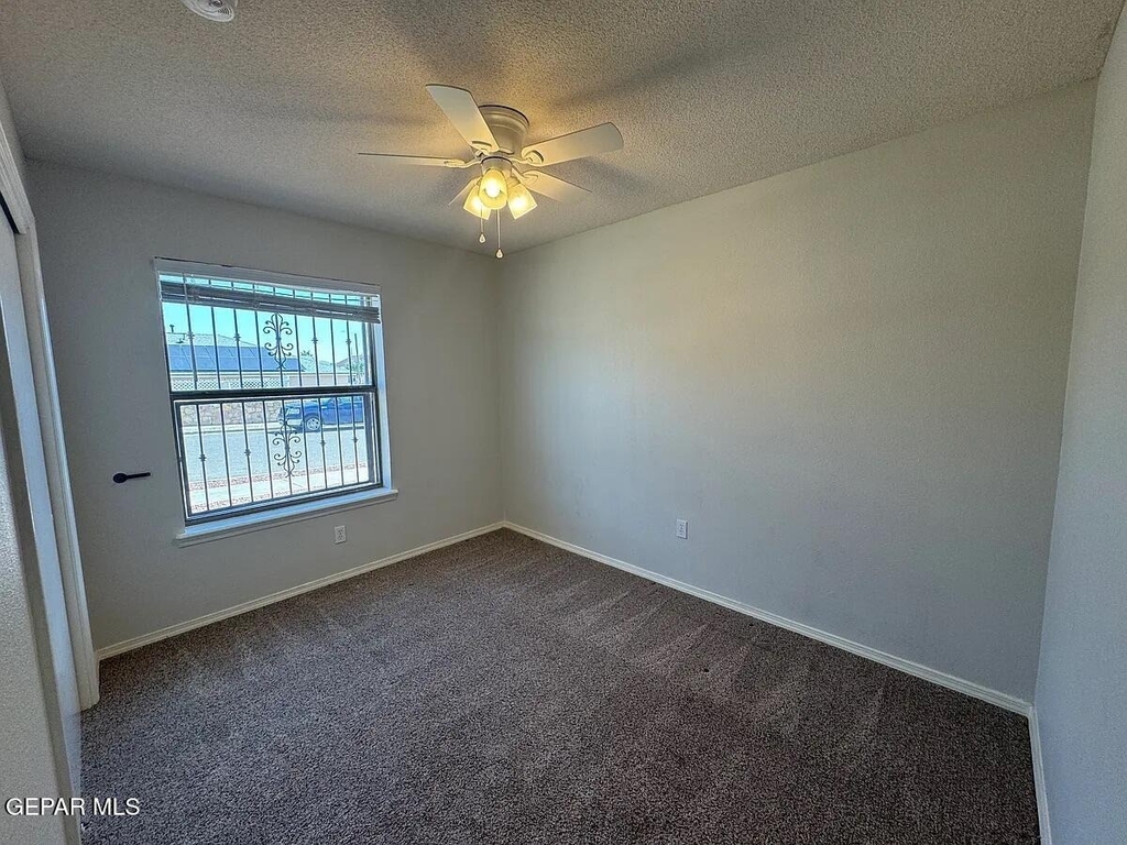 10041 Paloma Drive - Photo 14