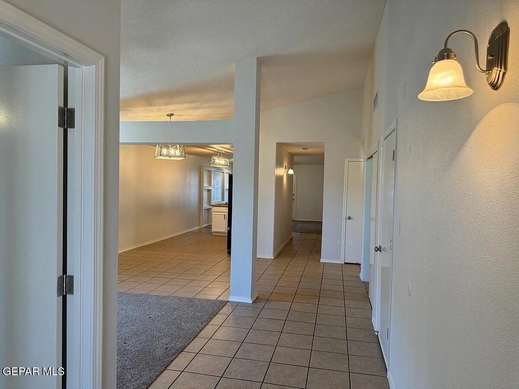 10041 Paloma Drive - Photo 38