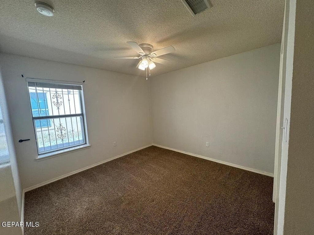 10041 Paloma Drive - Photo 12