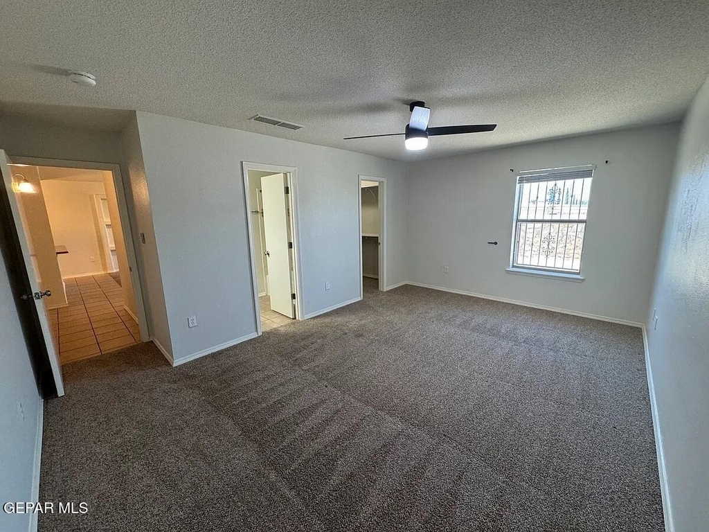 10041 Paloma Drive - Photo 24