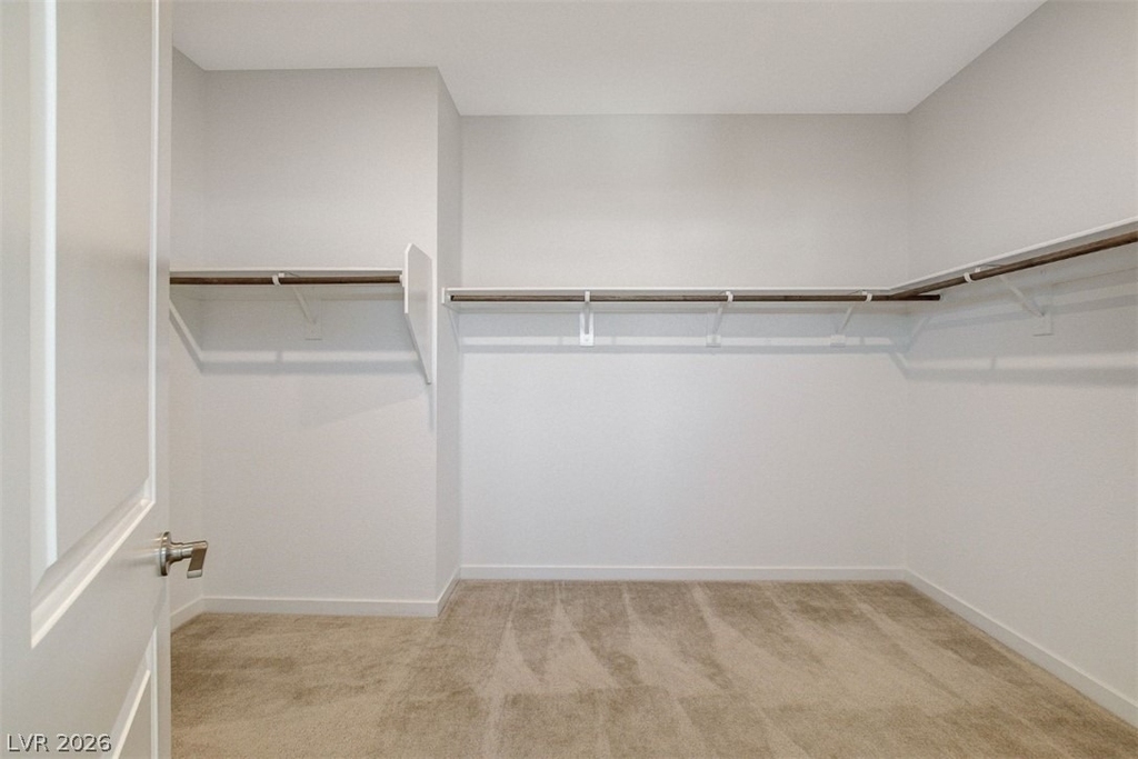 10280 Timberline Valley Avenue - Photo 29