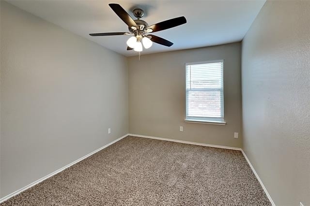 10516 Turning Leaf Trail - Photo 12