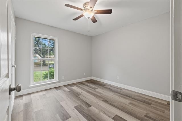 3939 Branch Hollow Drive - Photo 6
