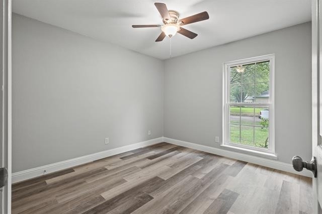 3939 Branch Hollow Drive - Photo 11