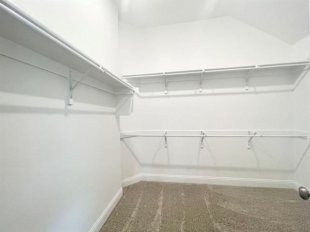 3002 Pronghorn Drive - Photo 16
