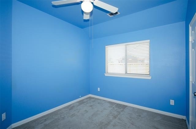 907 Mustang Ridge Drive - Photo 19