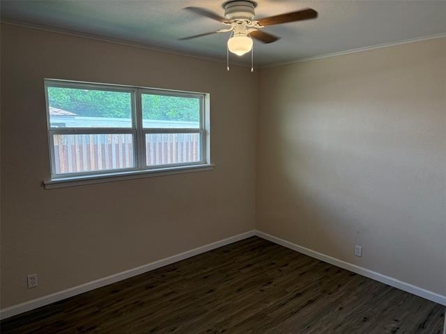 216 Randy Street - Photo 17