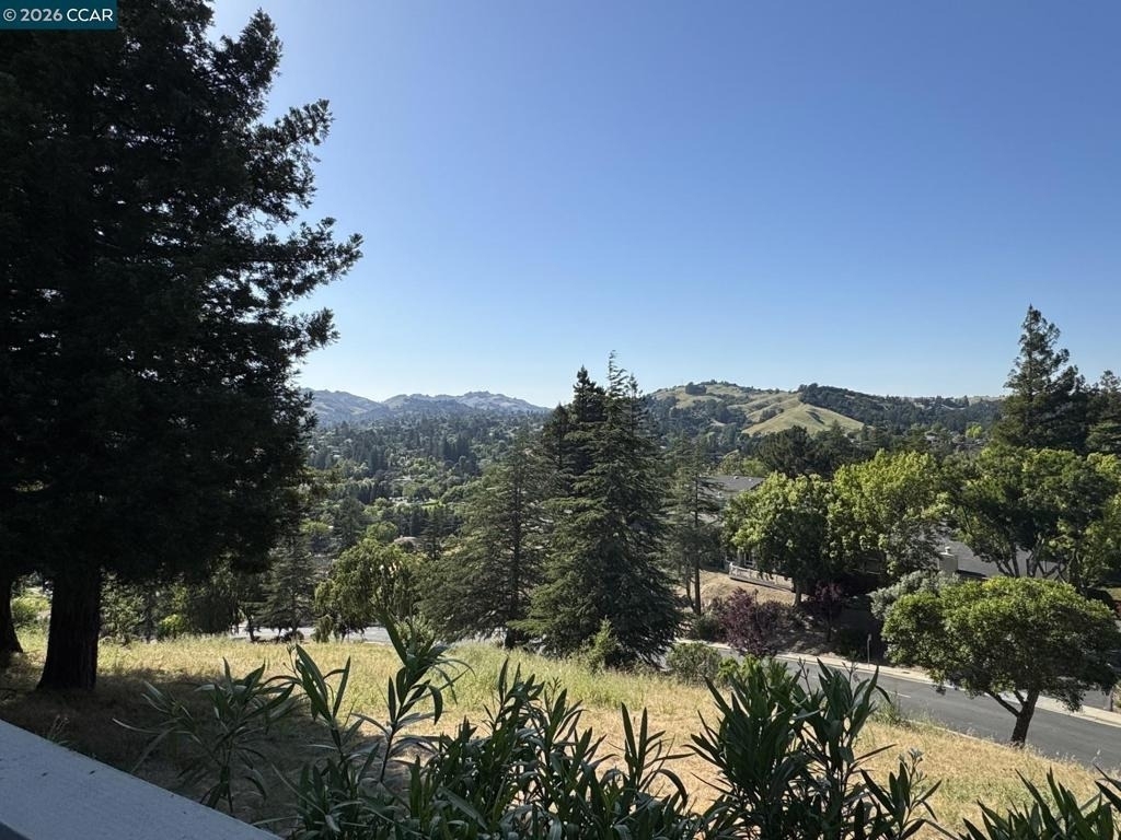 1168 Alta Mesa - Photo 3