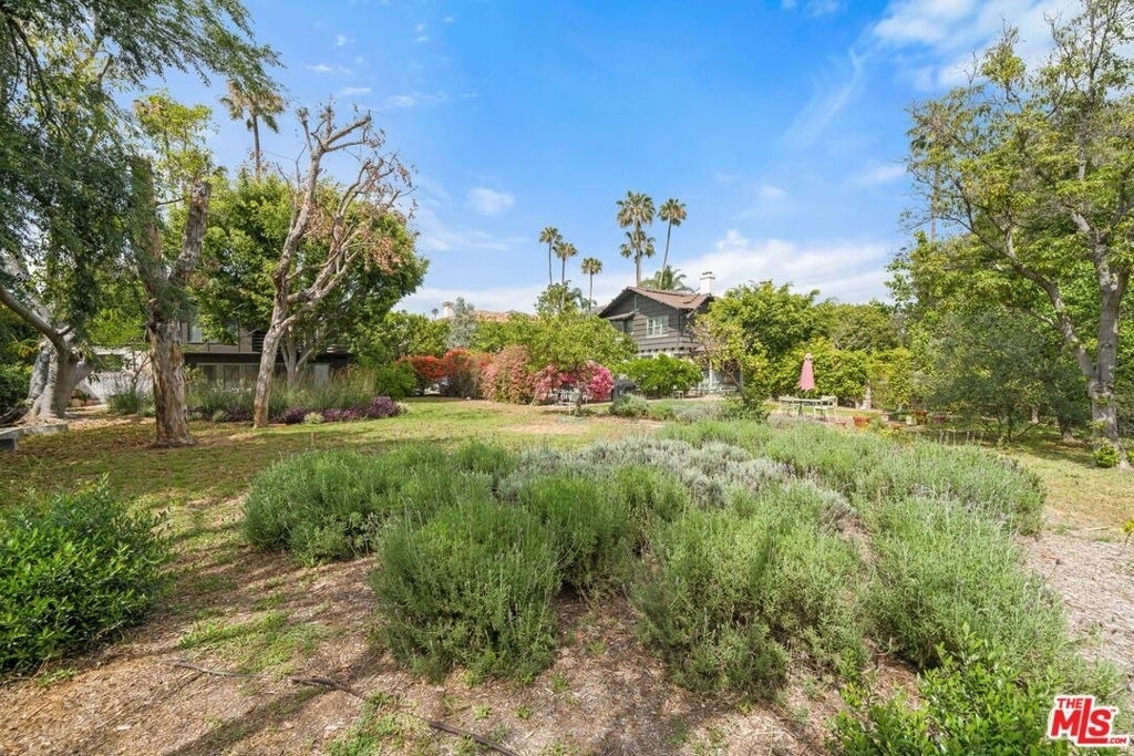801 N Rodeo Drive - Photo 47