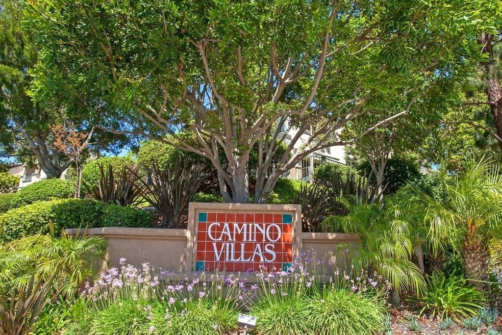 3539 Caminito El Rincon - Photo 21
