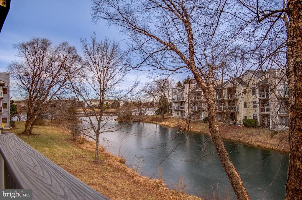 20600 Cornstalk Terrace - Photo 9
