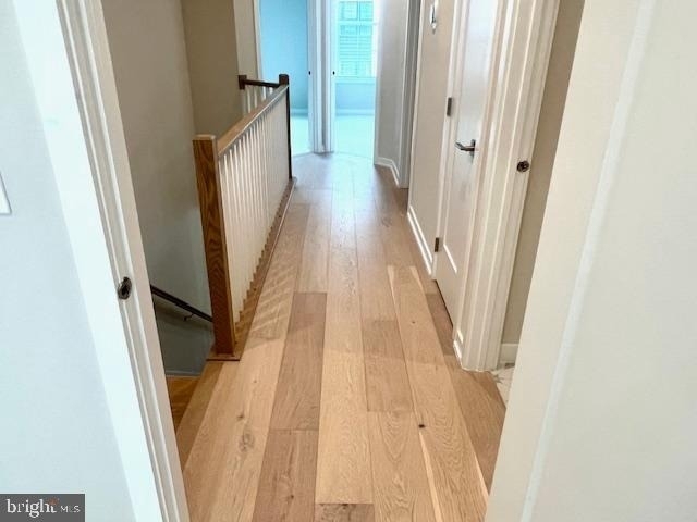 43513 Madison Springs Terrace - Photo 12