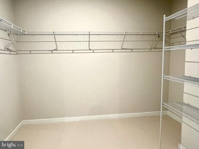 43513 Madison Springs Terrace - Photo 15