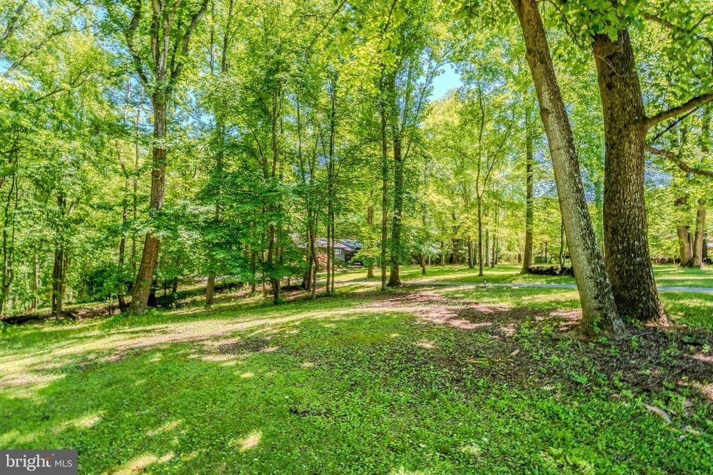 10808 Nicholsridge Road - Photo 49