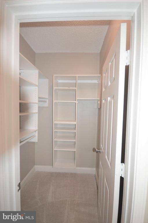 13058 Autumn Woods Way - Photo 15