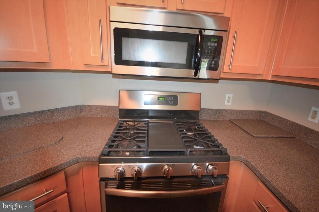 13058 Autumn Woods Way - Photo 11