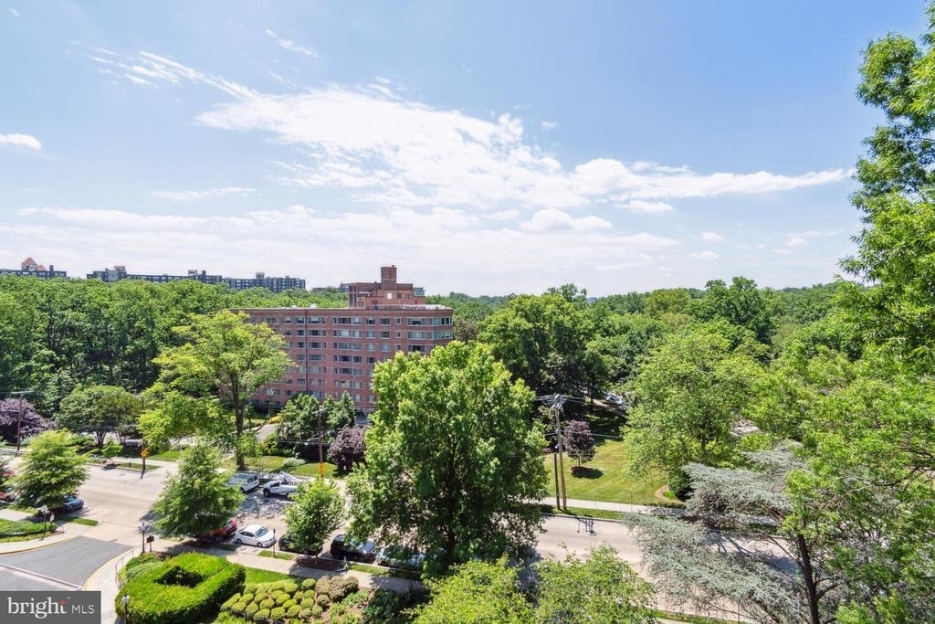 4201 Cathedral Avenue Nw - Photo 22