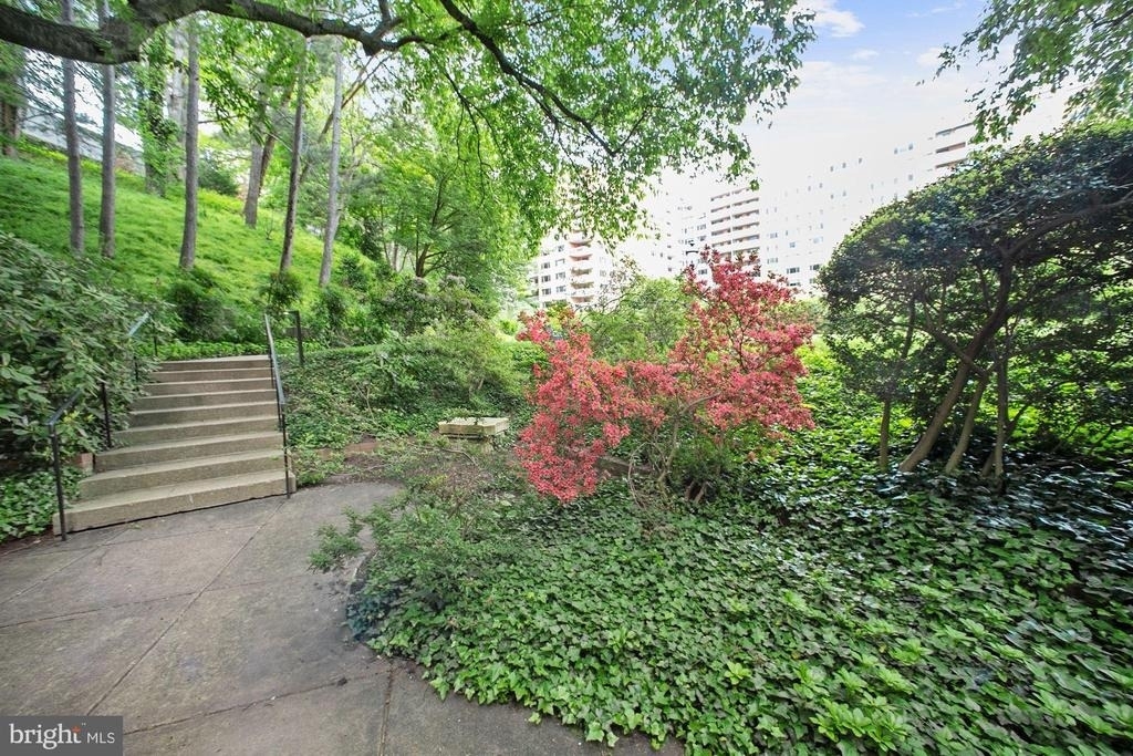 4201 Cathedral Avenue Nw - Photo 34
