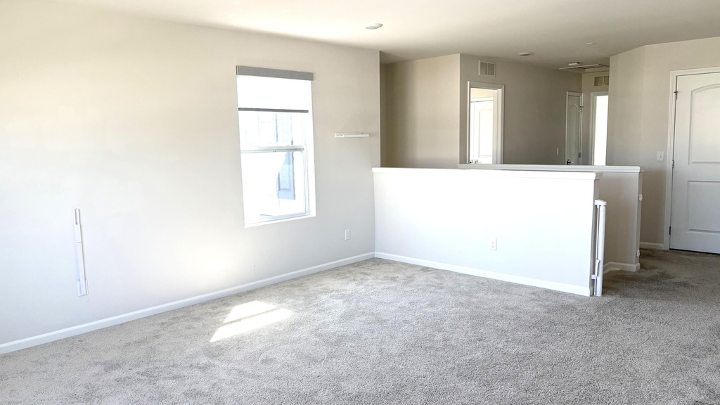 1206 Salt Springs Drive - Photo 9
