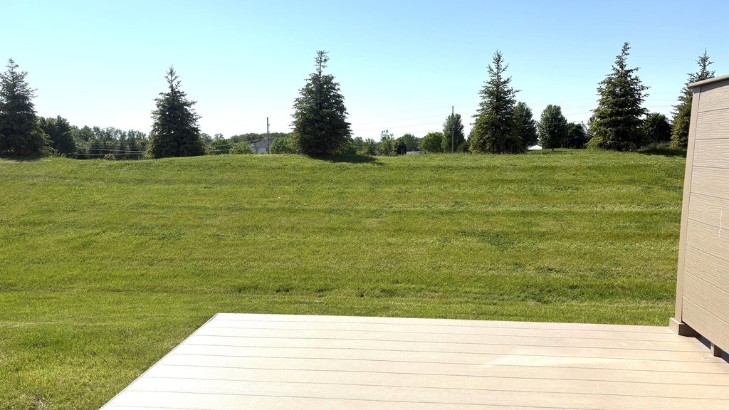 1206 Salt Springs Drive - Photo 13