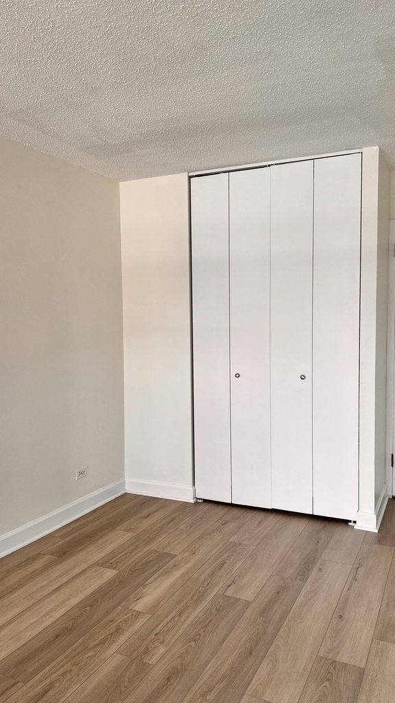 10 E Ontario Street - Photo 6