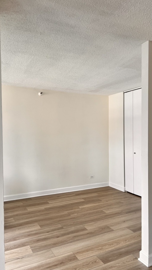 10 E Ontario Street - Photo 5