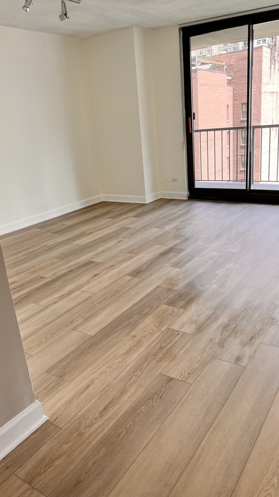 10 E Ontario Street - Photo 4