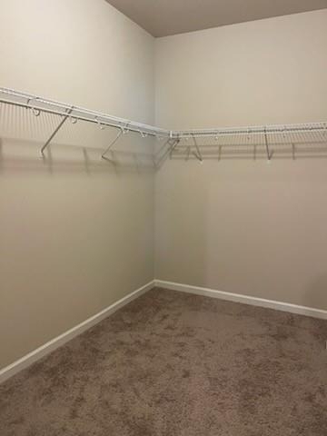 2462 Pearl Ridge Trace - Photo 15