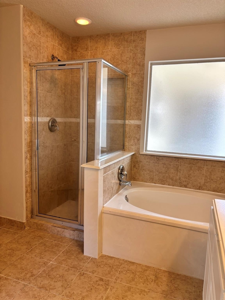 22531 Goss Spring Court - Photo 13