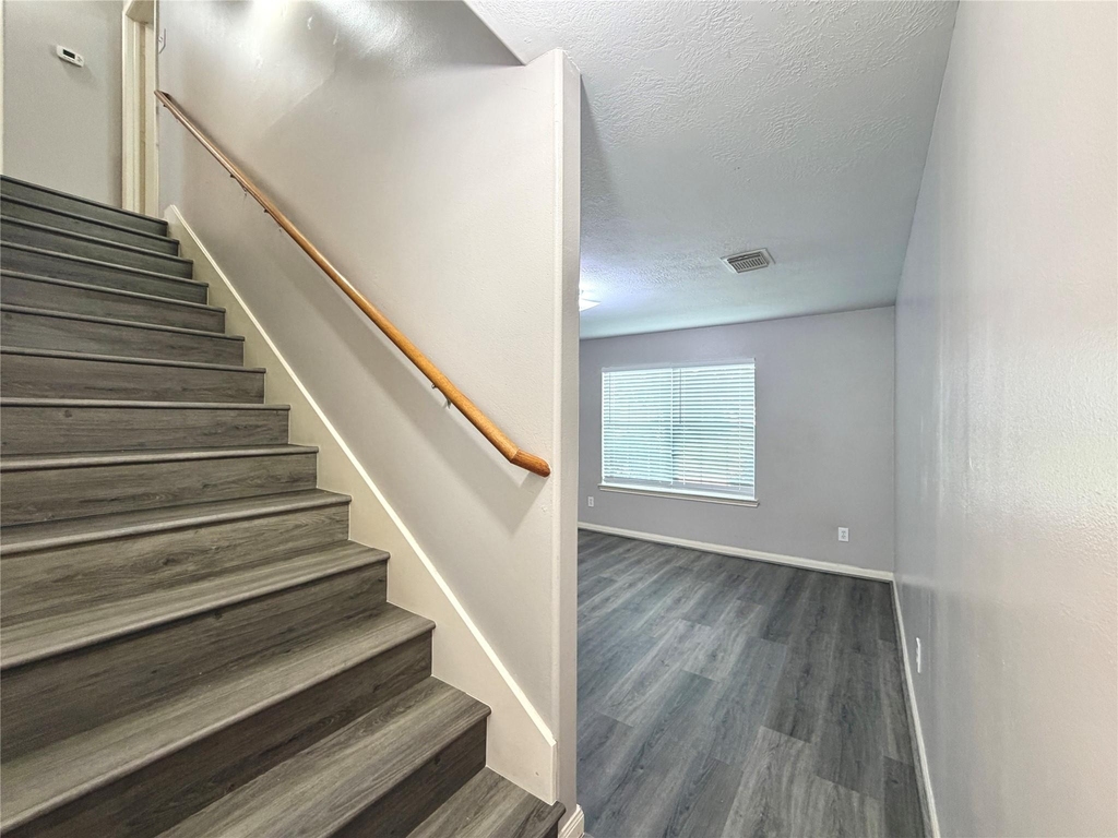 6415 Mountain Pines Lane - Photo 10