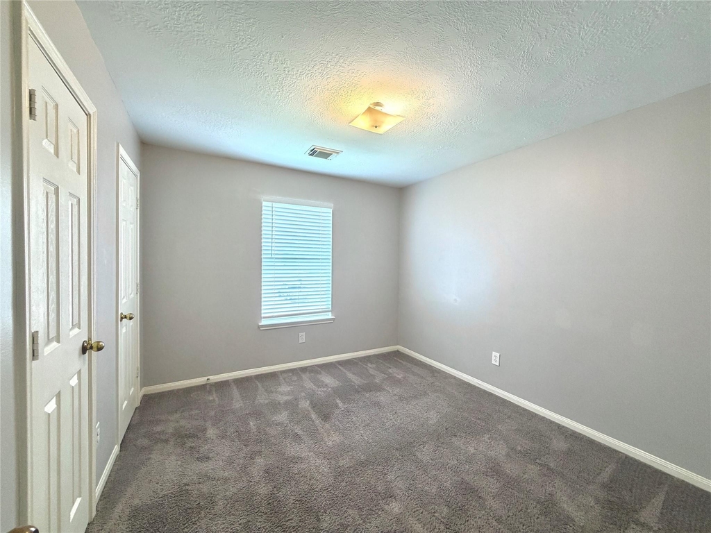6415 Mountain Pines Lane - Photo 15