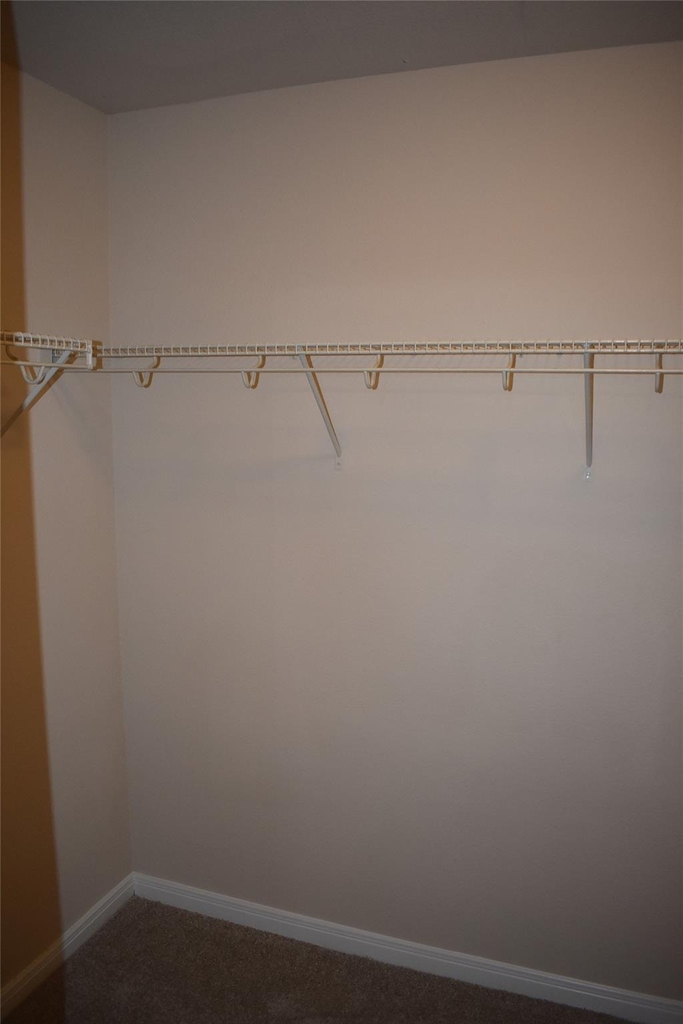 16048 Limestone Lake Drive - Photo 12