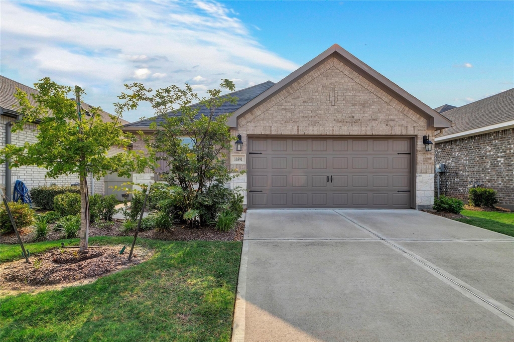16891 Pink Wintergreen Drive - Photo 2